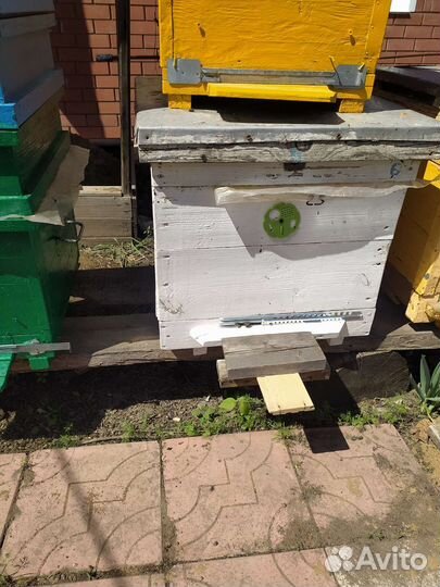 Пчелы и улья