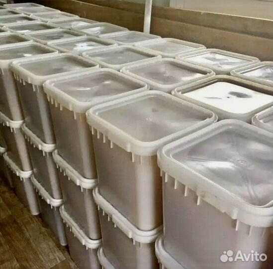 Амурский мед натуральный без сахара мёд