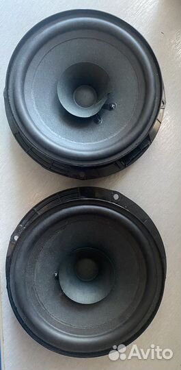 Динамики foster