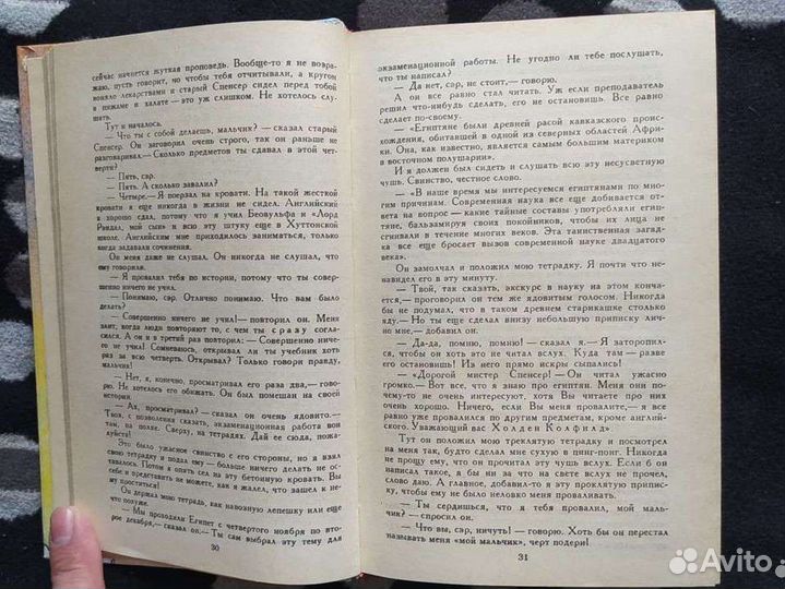 Джером Д. Сэлинджер. Над пропастью в ржи