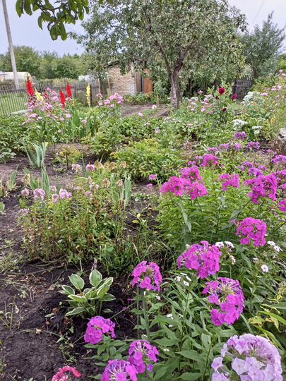 Дача 24 м² на участке 6,5 сот.