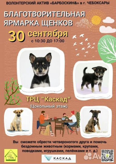 Щенок выставка