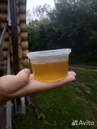 Мед со своей кочевой пасеки