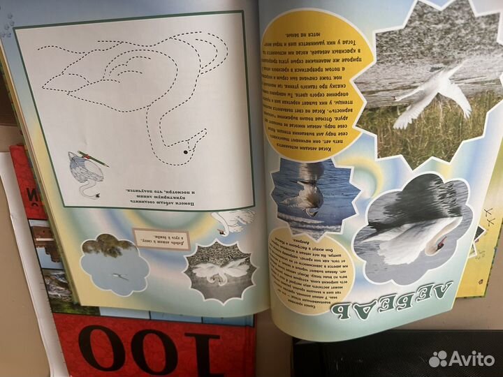 Детская книга про животных
