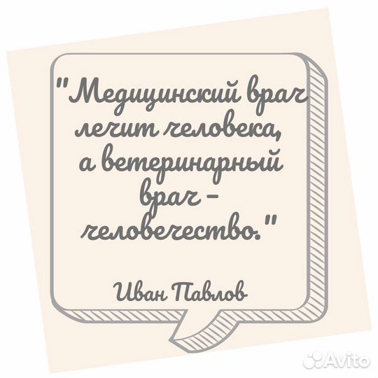 Ветеринарный врач на дом круглосуточно