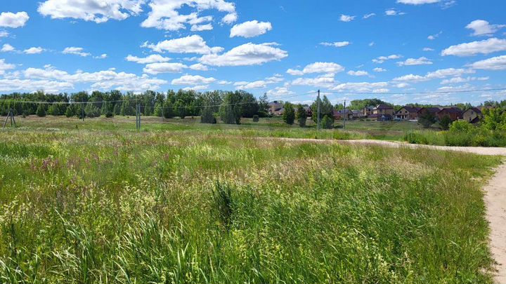 Участок 10 сот. (ИЖС)