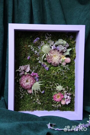 Картины из сухоцветов в рамке
