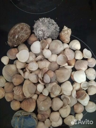 Набор для творчества