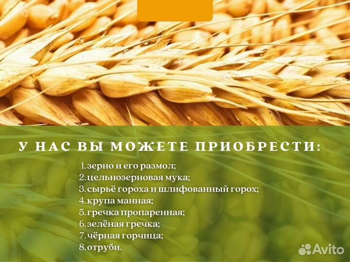 Чёрная горчица (кг)