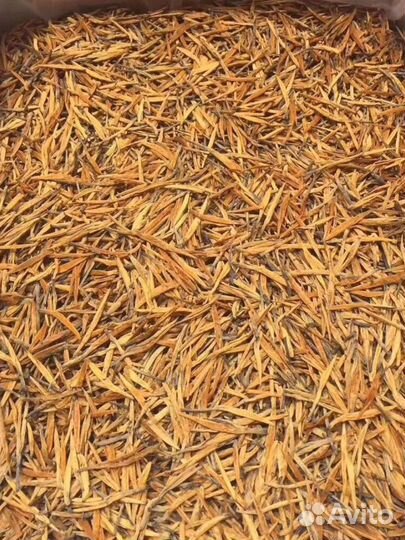 Чай для Настроения и Души. Да Цзинь Чжень Ван