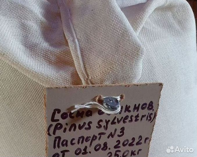 Семена сосны на заказ