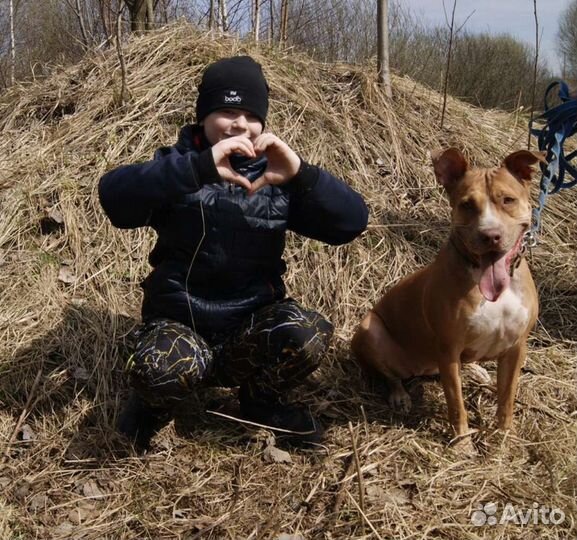 Красавица Трамбита в добрые руки