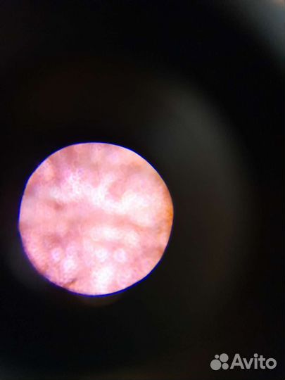 Игрушка микроскоп