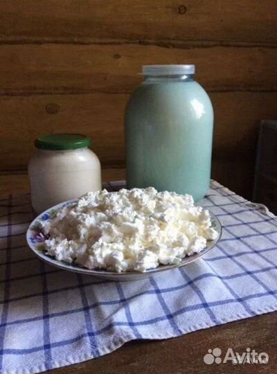 Кисло молочные продукты домашнего производства