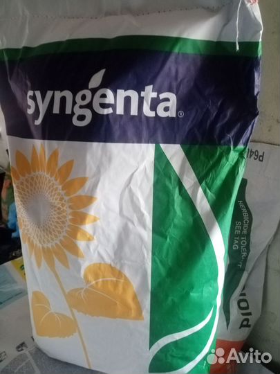 Семена подсолнечника гибрид