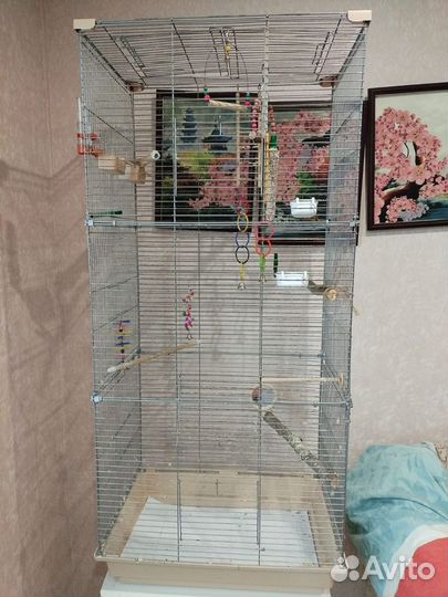 Большая клетка для попугая