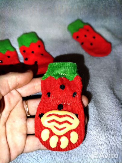 Носки для собак мелких пород