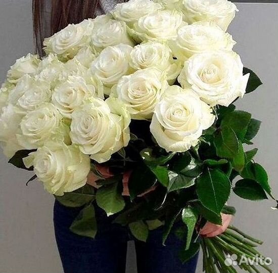 Розы Букеты Цветы Розы 31 101 151 201 Доставка