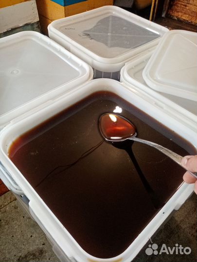 Мёд гречиха-лесное разнотравье опт