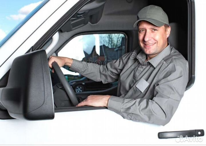 Водитель экспедитор категория в