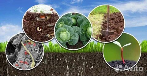 Земля плодородная (трехкомпонентная) доставка