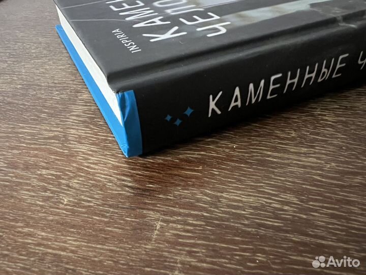 Каменные человечки книга