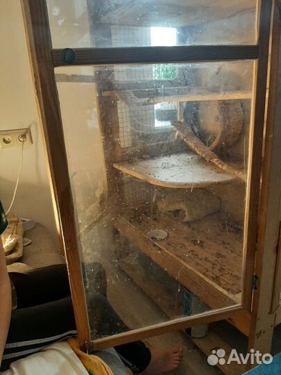 Клетка для дегу