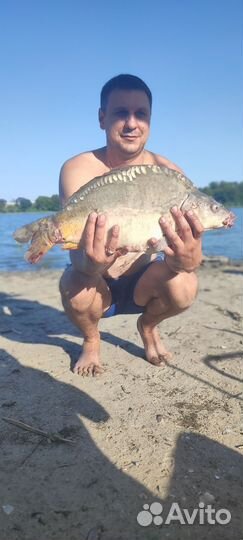 Рыбалка отдых у воды