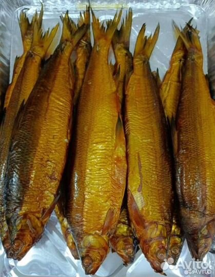 Рыба Свежая Сига Копчёный Сига