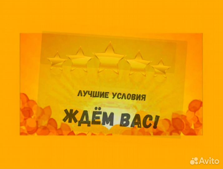 Наборщик заказов Без опыта Еженедельные выплаты