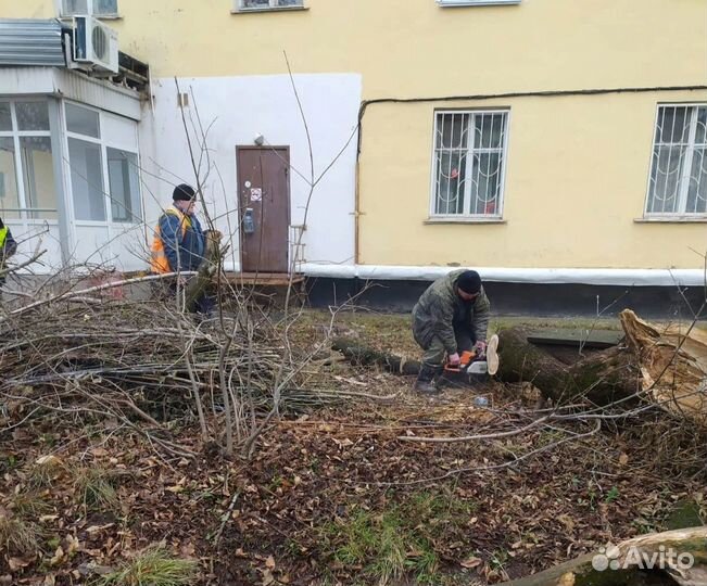 Обрезка кустов и деревьев