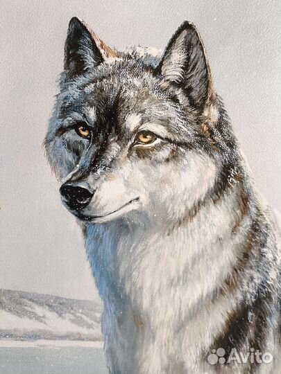 Картина Волки репродукция