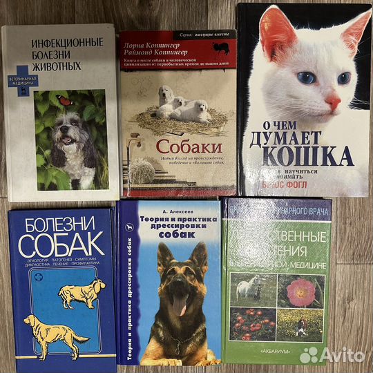 Ветеринарная медицина