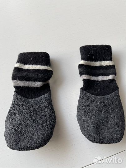 Обувь для собак