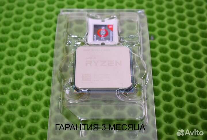 Ryzen 5 5500