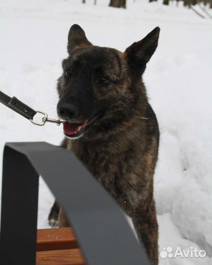 Юная девочка в добрые руки