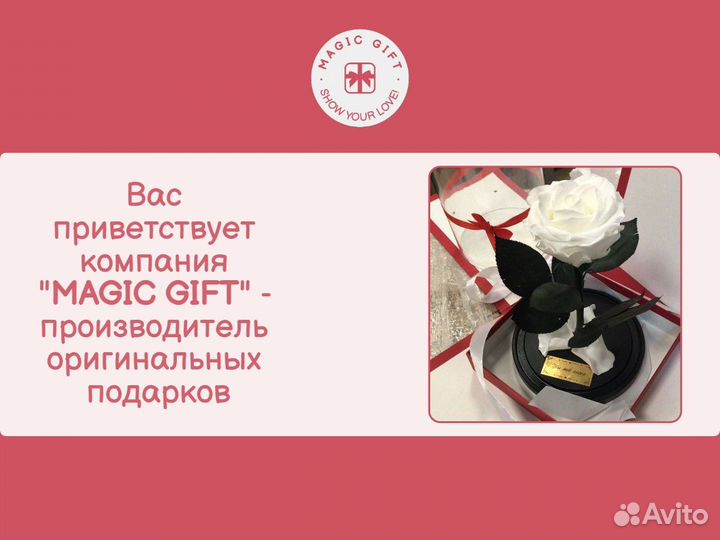 Роза в колбе живая