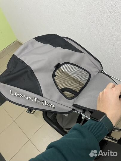 Детский трехколесный велосипед Lexus Trike