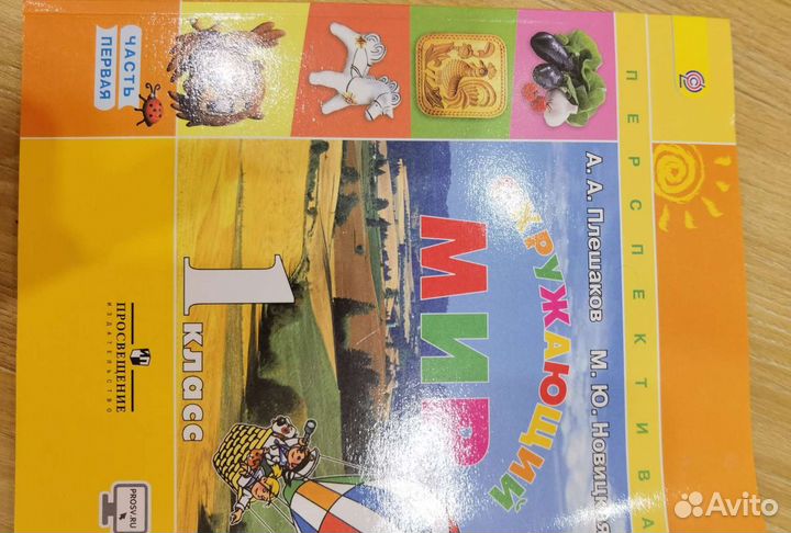 Учебник 1 класс, перспектива