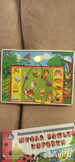 Электровикторина школа божьей коровки