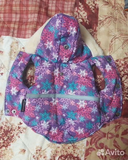 Вещи для собачки