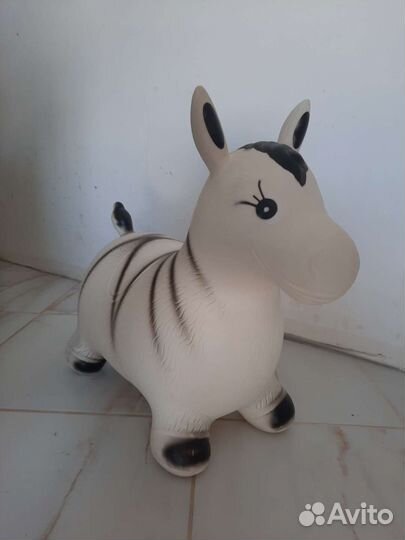 Прыгун Зебра