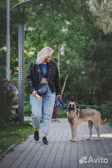 Кэнди предали