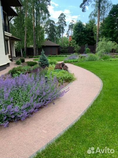 Рулонный газон 