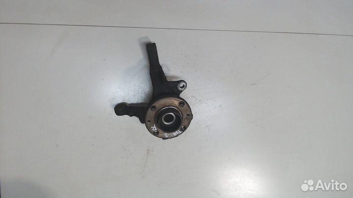 Ступица (кулак, цапфа) Renault Clio, 2010