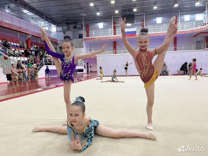 Художественная гимнастика