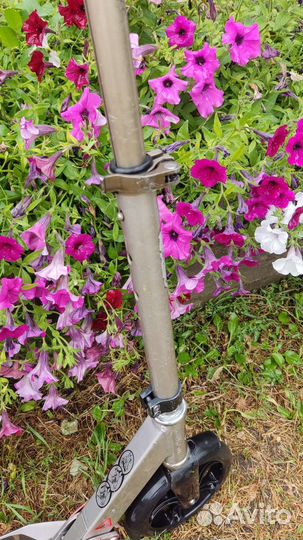 Самокат взрослый Oxelo