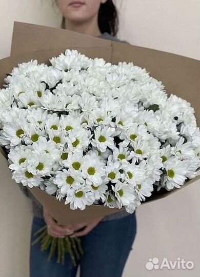 Хризантема Доставка цветов Букеты