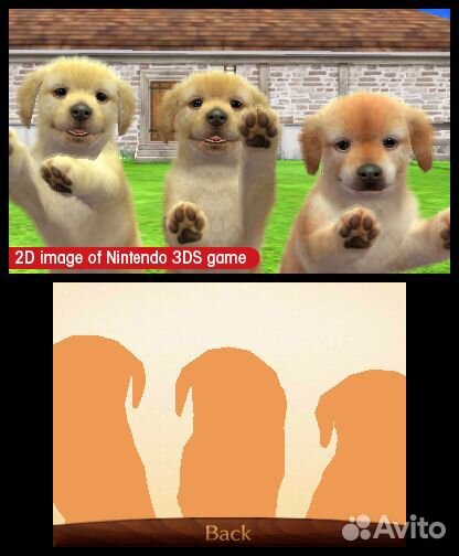 Nintendogs+Cats. Голден-ретривер и новые друзья, б