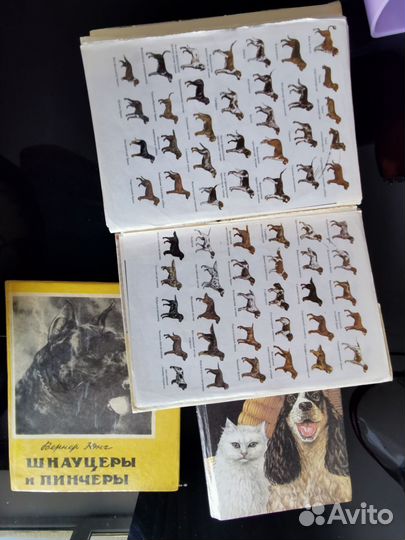 Книги и атласы пород собак